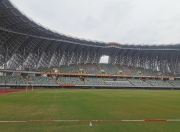 开云平台-包含南安普顿主场大胜斯托克城的词条