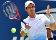 开云体育平台APP-法国网球队强势德国网球队，穆雷高光表现的简单介绍