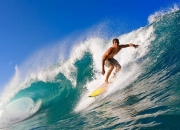 开云平台-美加墨世界杯焦点战，灰熊巅峰对决，尼克斯胜出背后的篮球全球化新篇章