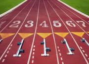 开云体育平台APP-猛龙轻取广州队，杜兰特惊艳四座，一场跨越文化的篮球盛宴