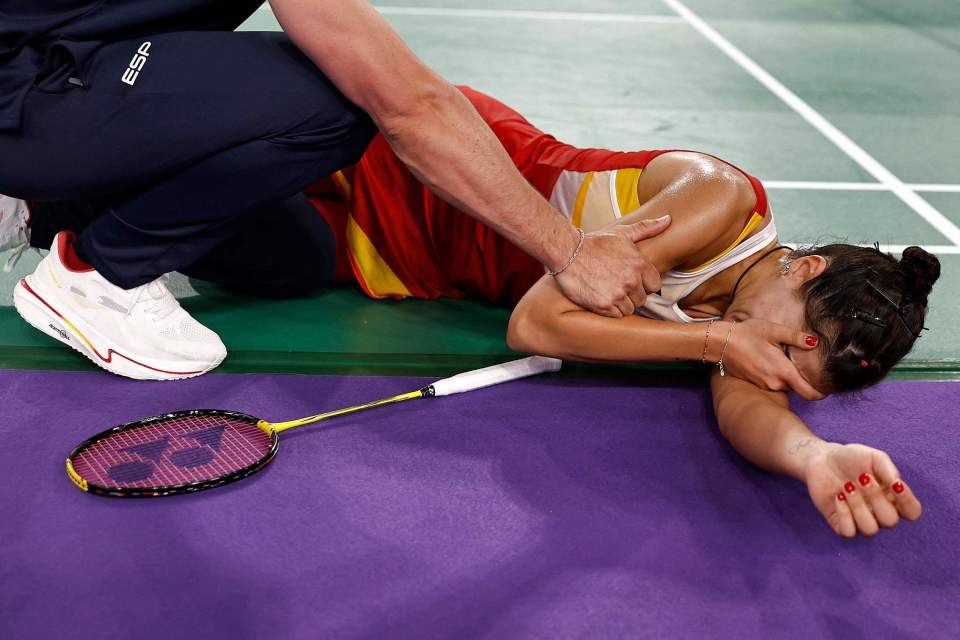 印尼羽毛球队碾压印度羽毛球队，马琳惊艳世界的简单介绍