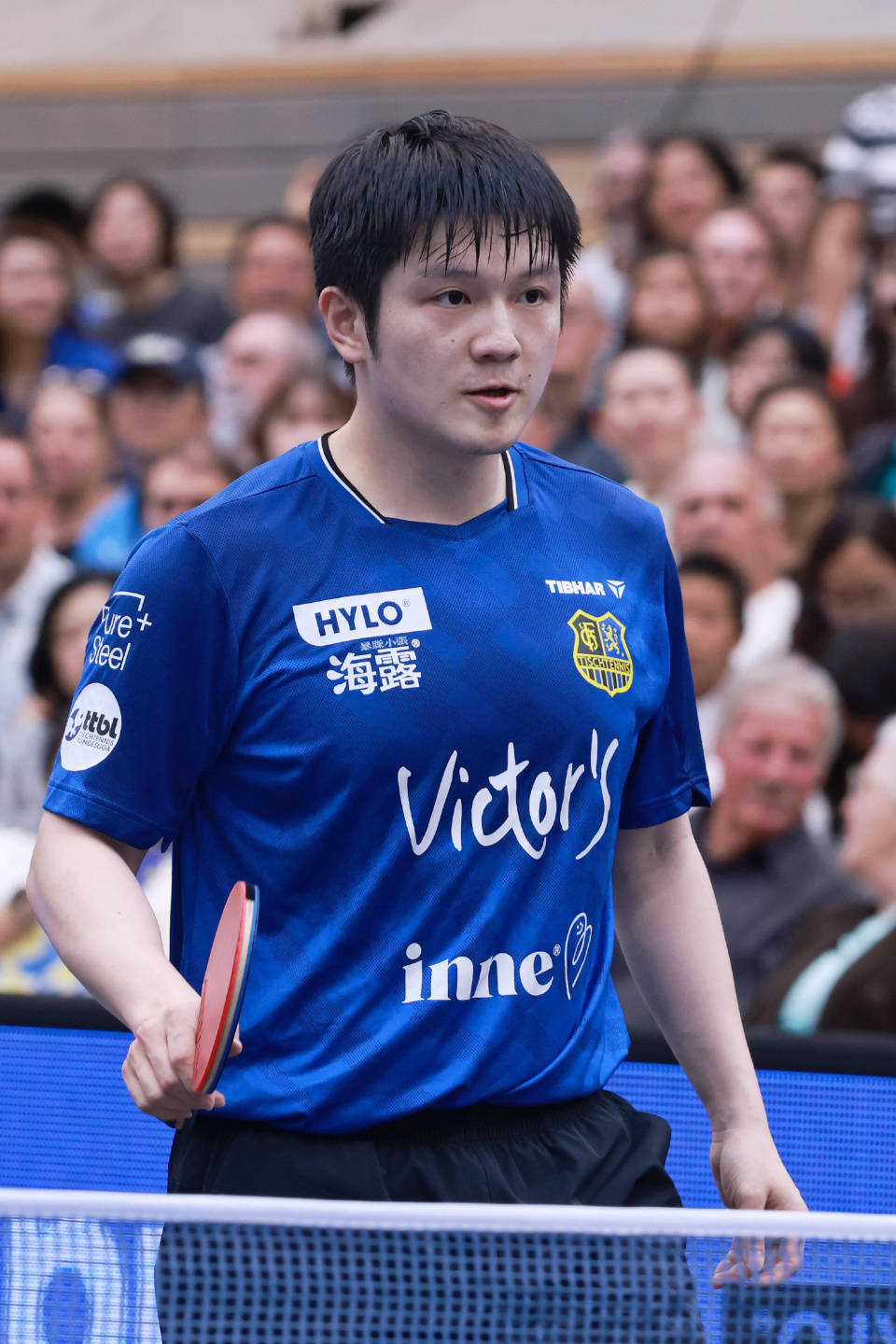 关于英国乒乓球队翻盘韩国乒乓球队,樊振东统治全场的信息 关于英国乒乓球队翻盘韩国乒乓球队,樊振东统治全场的信息