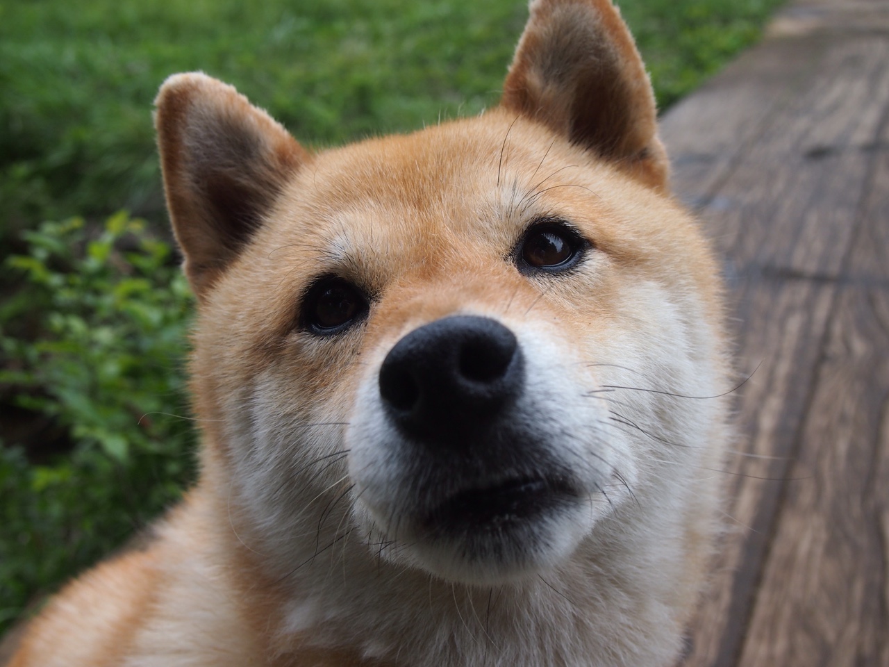 从西班牙压制荷兰到基米希成为关键先生，足球战术演变的现代启示